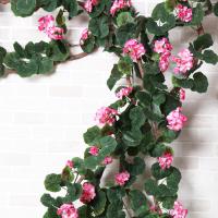 uploads/erp/collection/images/Home Garden/CongDing/XU0611411/img_b/XU0611411_img_b_4